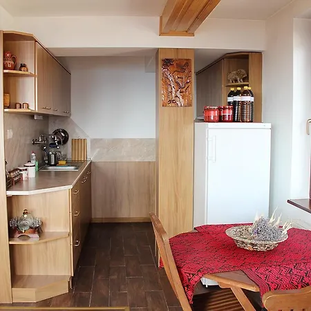 Guest house Videnitsa *