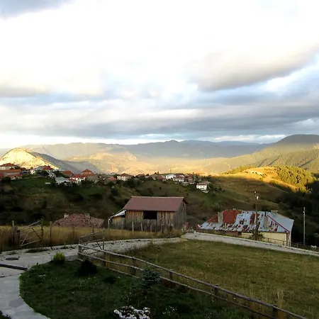 Guest house Videnitsa *