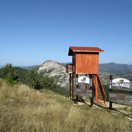 Videnitsa Guest house